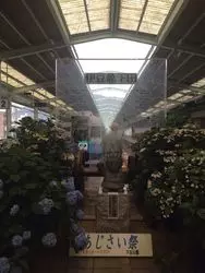 伊豆に電車で行ってきました