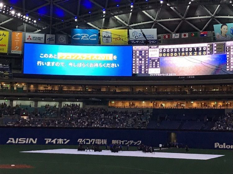 ナゴヤドームへ野球観戦の画像