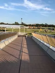 実は家族連れ向け？中山競馬場