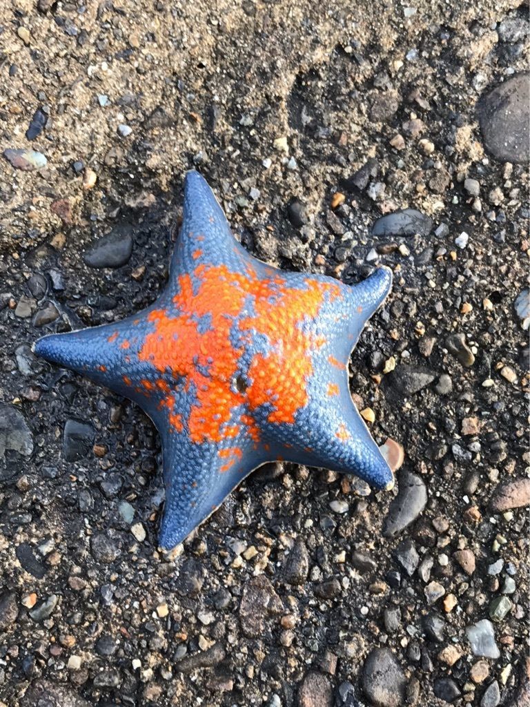福井、越前で釣りと海鮮を楽しむの画像