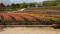 ぐりんぱは景色も楽しめて遊園地もあります