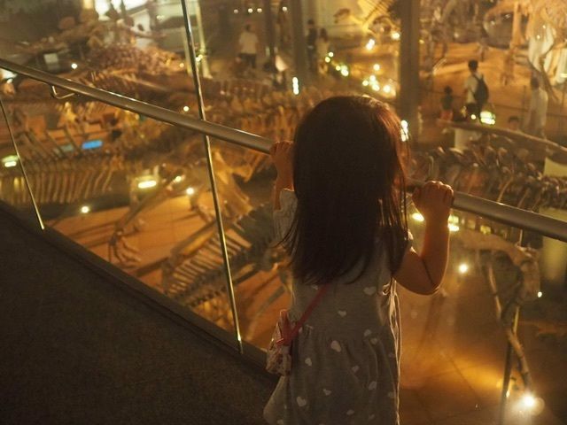 福井県立恐竜博物館は一見の価値あり！の画像