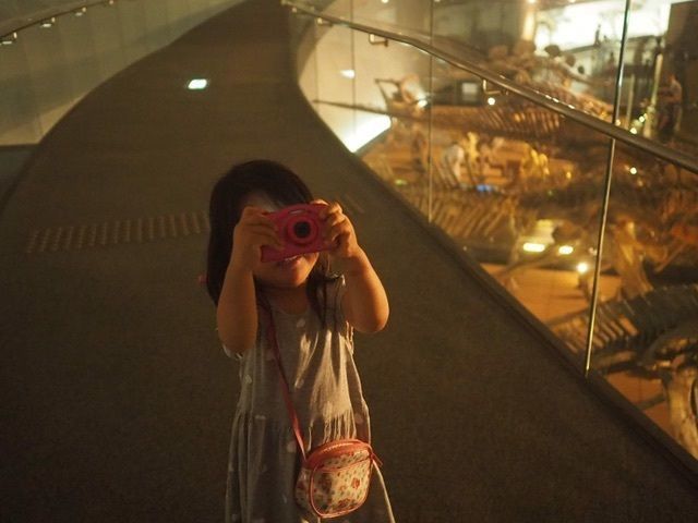 福井県立恐竜博物館は一見の価値あり！の画像