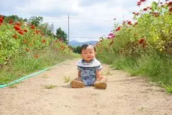 大阪南部で季節のお花を楽しむならここ！！