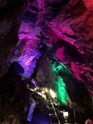 都内で自然を感じられるお出かけスポット