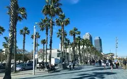 スペイン・バルセロナ観光ならココ！グルメも満喫♡おすすめ7選♪