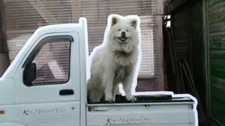 静岡から車で行った青森旅行