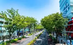 【表参道のホテル】人気ホテル6選！渋谷駅周辺のおすすめも紹介◎