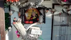 静岡グルメと観光を大満喫！