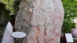 秋の山梨県はキレイでした