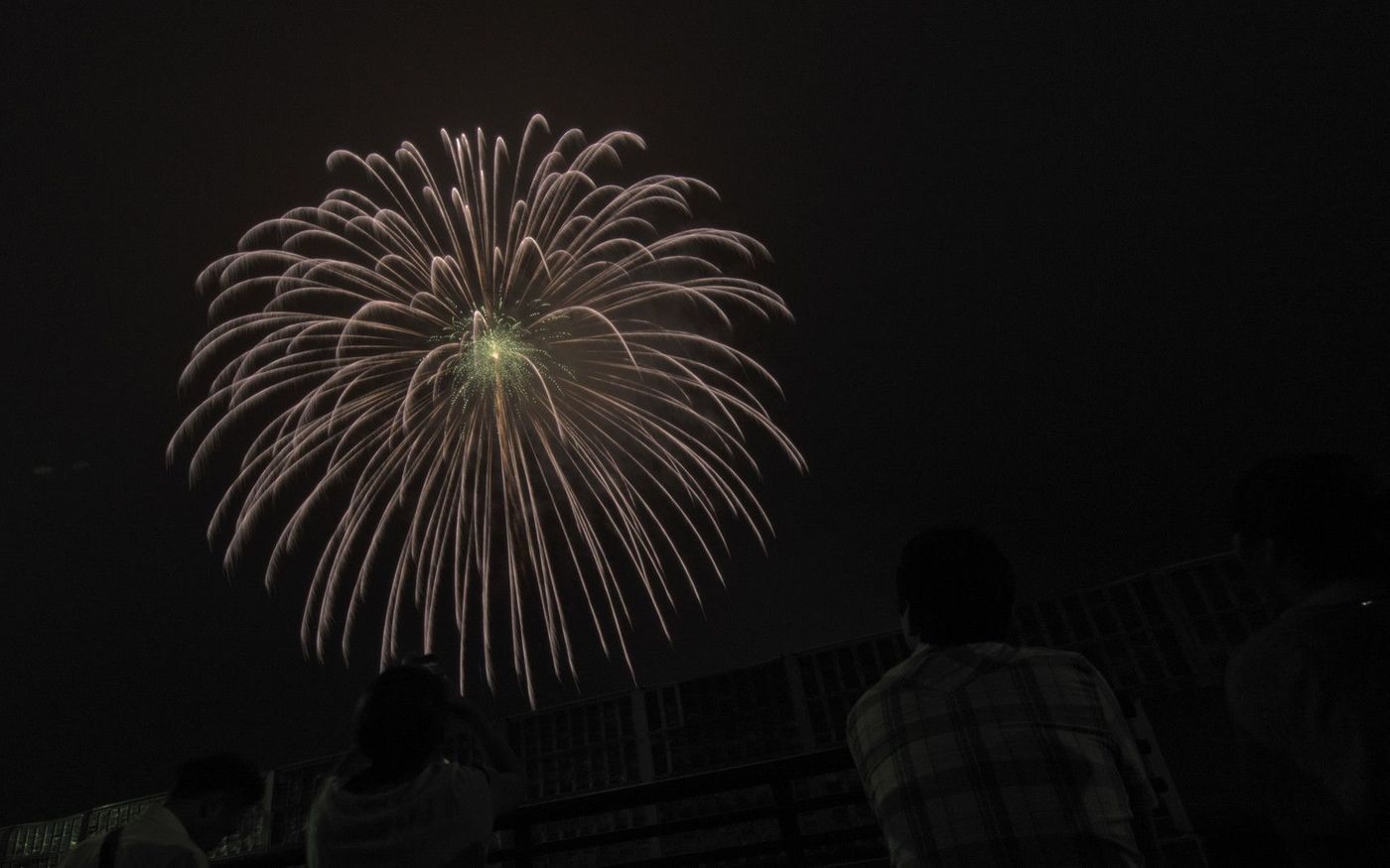 の画像