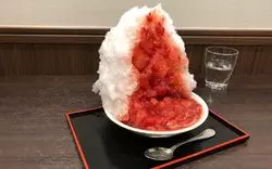 目白の絶品かき氷店『志むら』と『寛永堂』！予約方法や人気メニューも掲載