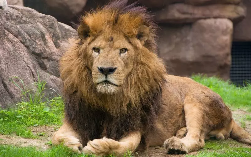多種多様な動物を見れる 1枚目