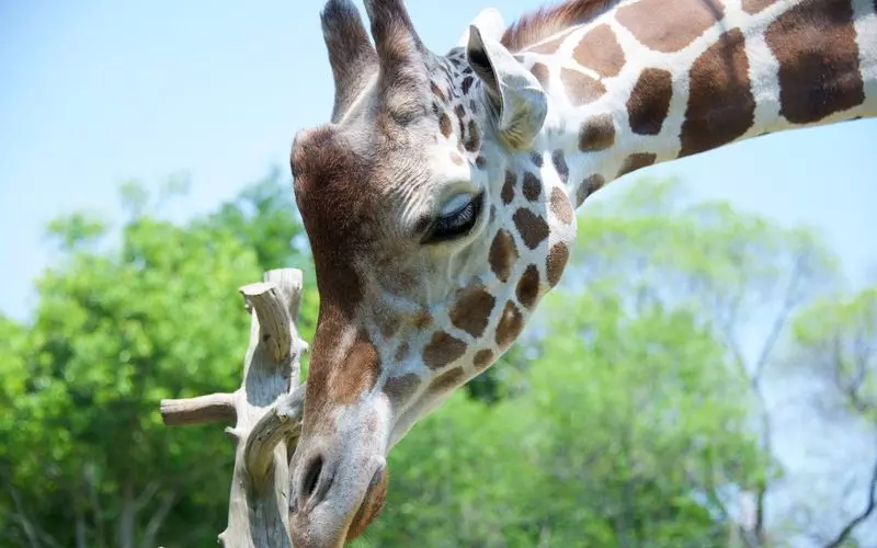 観光地からのアクセスも良好 1枚目