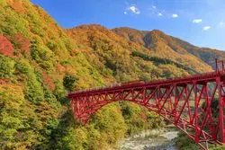 【1分で巡る絶景】大自然を駆け抜ける、トロッコ電車に乗って眺める絶景