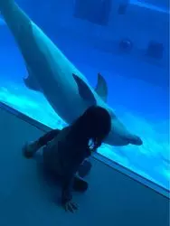 大人も子供楽しめる名古屋港水族館