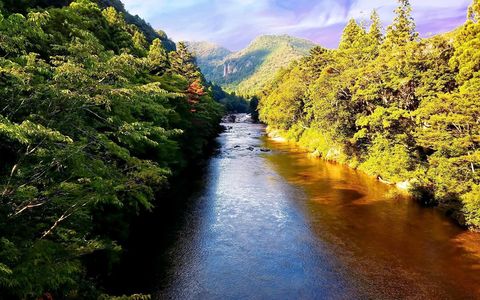 22年 田原 豊橋 新城の人気スポットランキングtop30 Aumo アウモ
