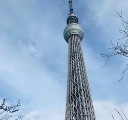 スカイツリーの「すみだ水族館」は見所いっぱい