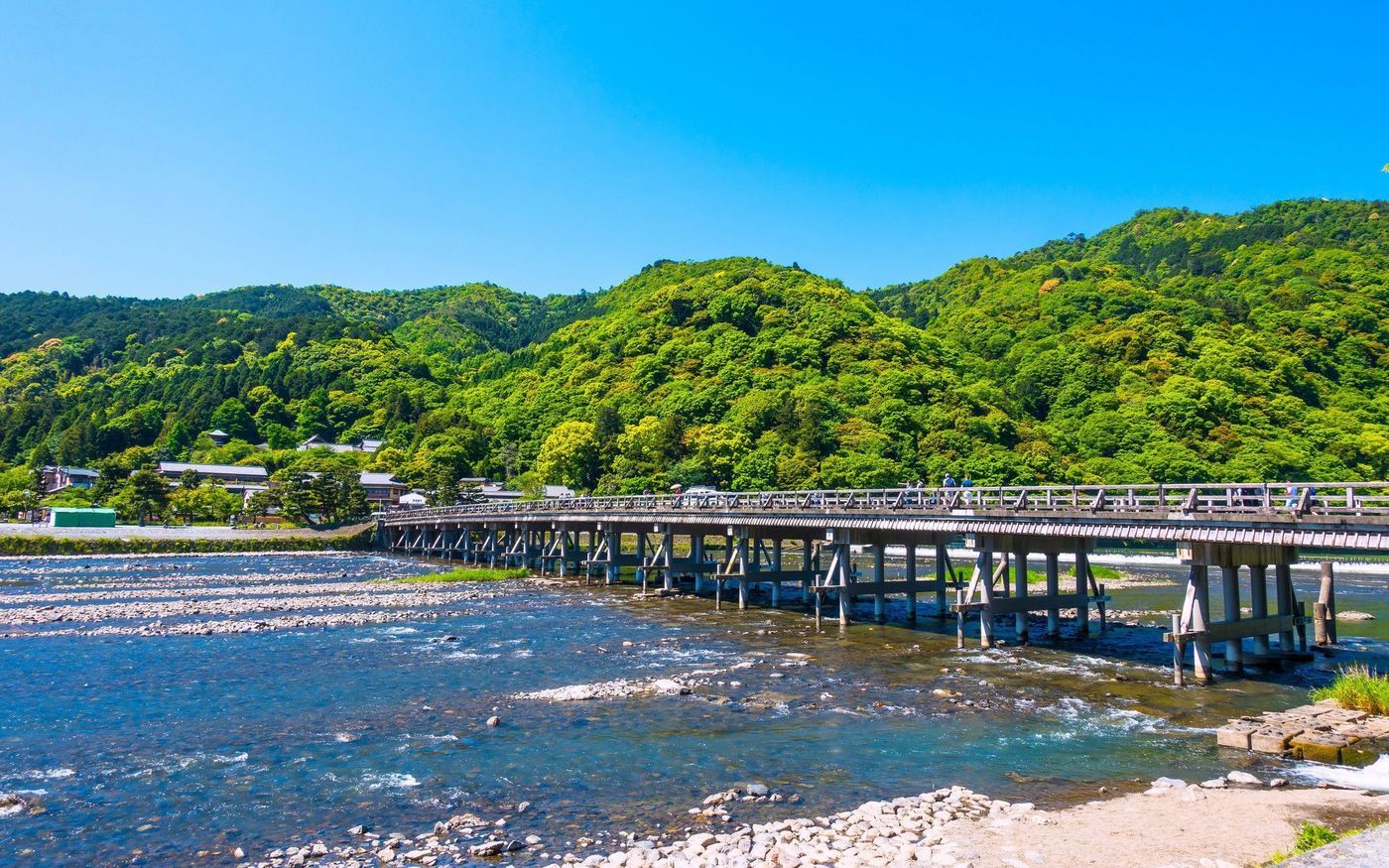 の画像