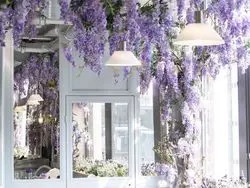 【ロンドン】パープルの花が満開…♡今話題のフラワーカフェを紹介
