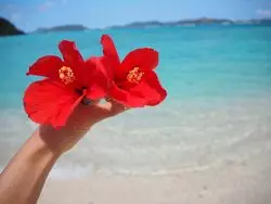 夏の旅行は美しいビーチでゆったりと♪沖縄【渡嘉敷島】で決まり！