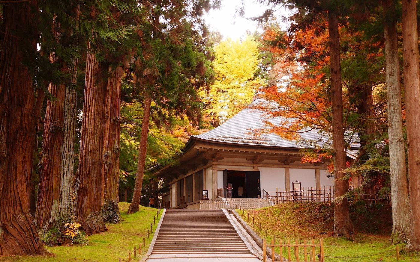 の画像