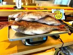 【新潟】釣った魚を買い取ってくれる回転寿司「ことぶき寿司」