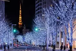 この冬絶対行きたい♡六本木ヒルズのクリスマスイルミネーション