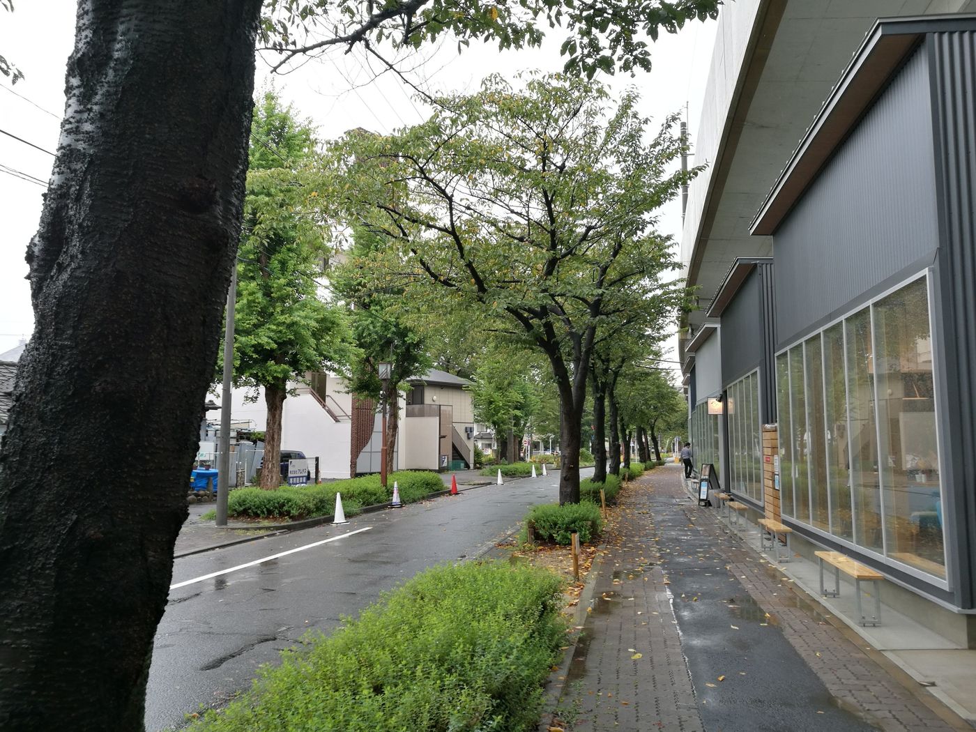 の画像