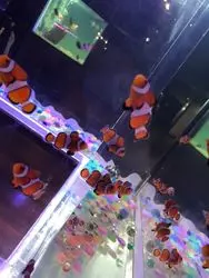 伊勢シーパラダイスで動物と触れ合える♩