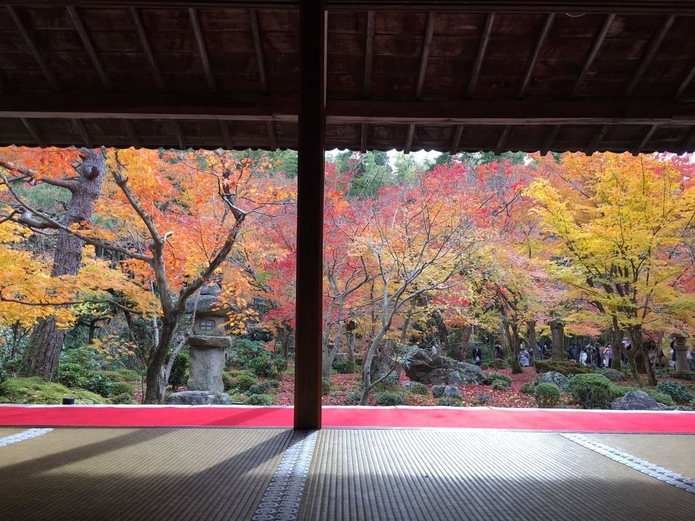 の画像