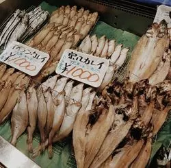 【青森】安い！新鮮！地元民と観光客で賑わう市民の台所