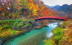 【2020年】知っておきたい！栃木の絶景紅葉名所まとめ☆