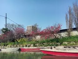 福岡おすすめの観光【川下り】