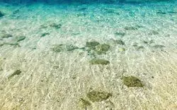 【沖縄】透明度がすごい♡本島から手軽に行ける離島「水納島」