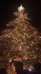 クリスマスに訪れたい【軽井沢高原協会】