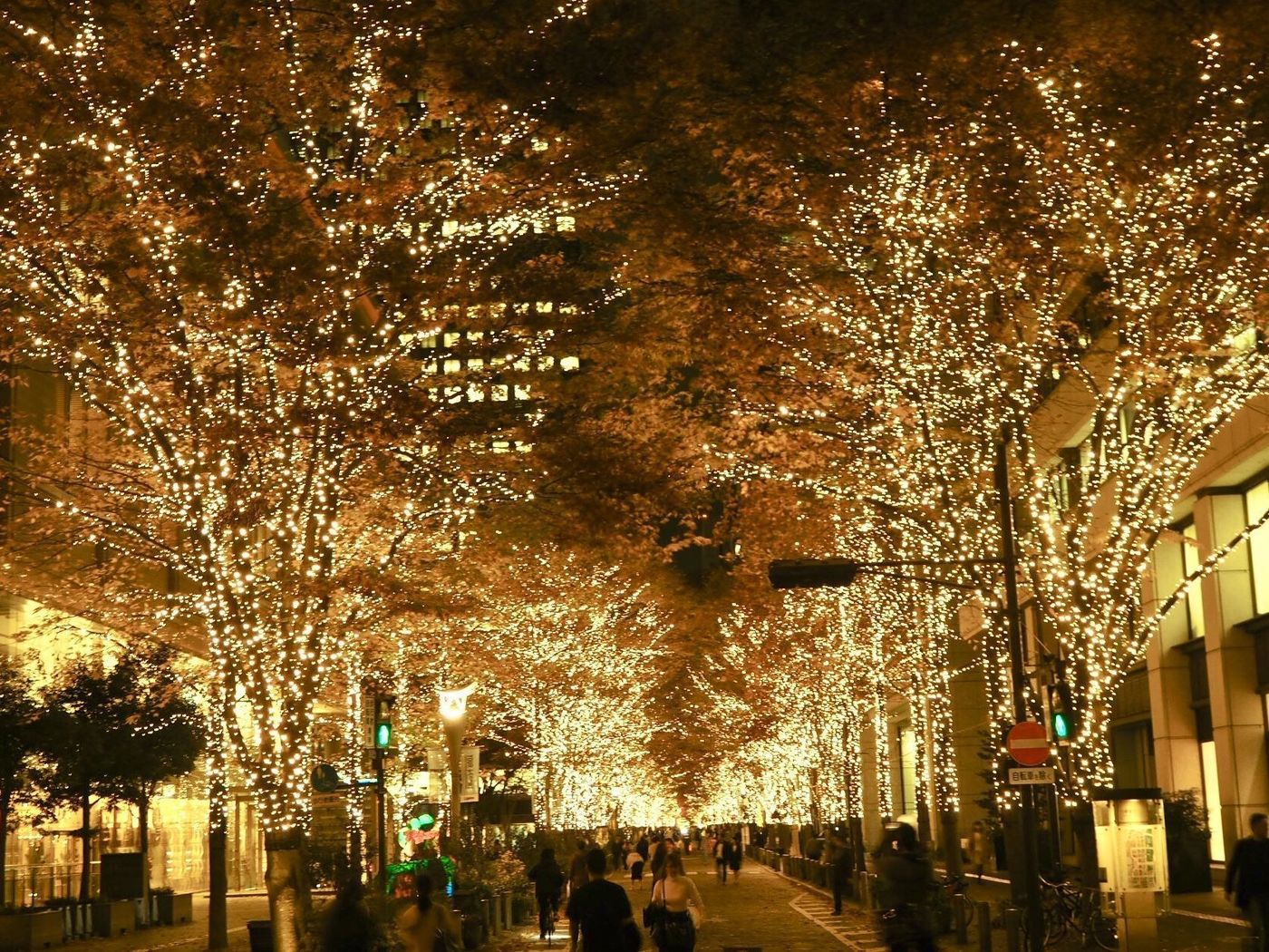 の画像