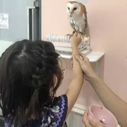 【大阪】お子さん大歓迎！ゆめかわいいふれあい動物園♡