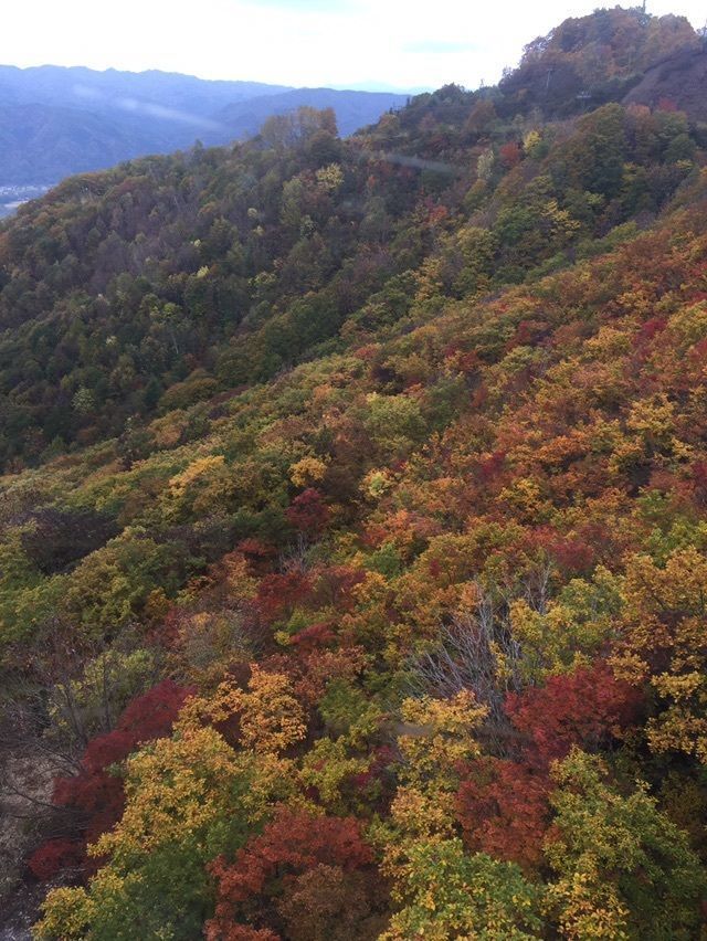 【長野 白馬】白馬 岩岳マウンテンリゾートの画像