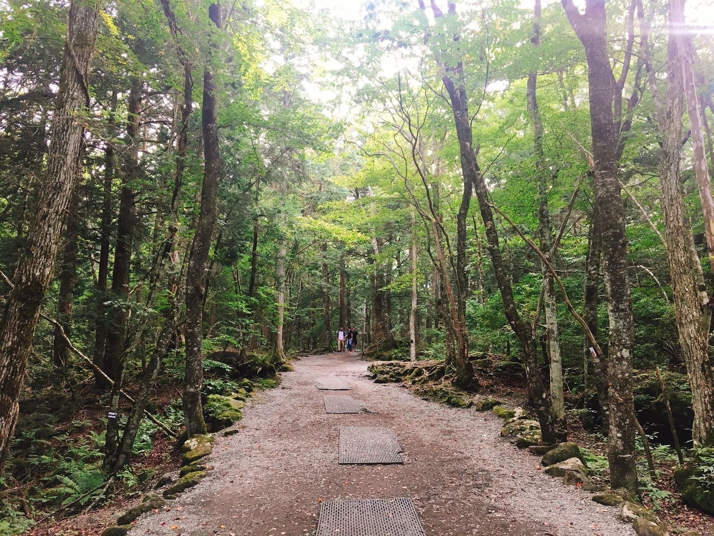 山梨といえばこれ！押さえておきたいグルメとスポットをご紹介♪の画像