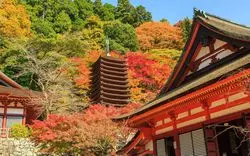 【2025】古都・奈良で情緒あふれる紅葉を！絶景スポット9選