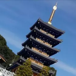 【兵庫県】聖徳太子創建！日本で最初の観音霊場「中山寺」