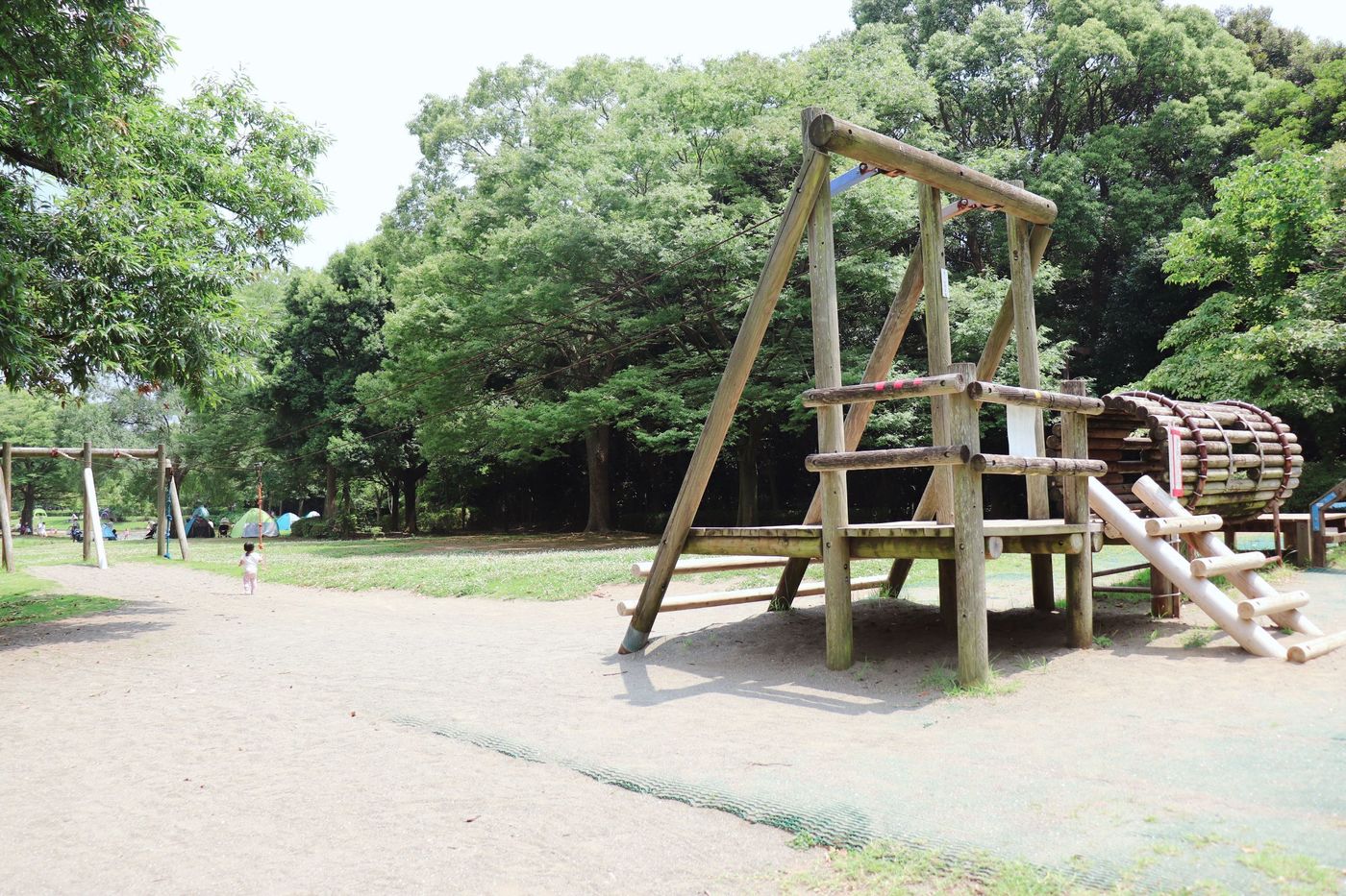 の画像