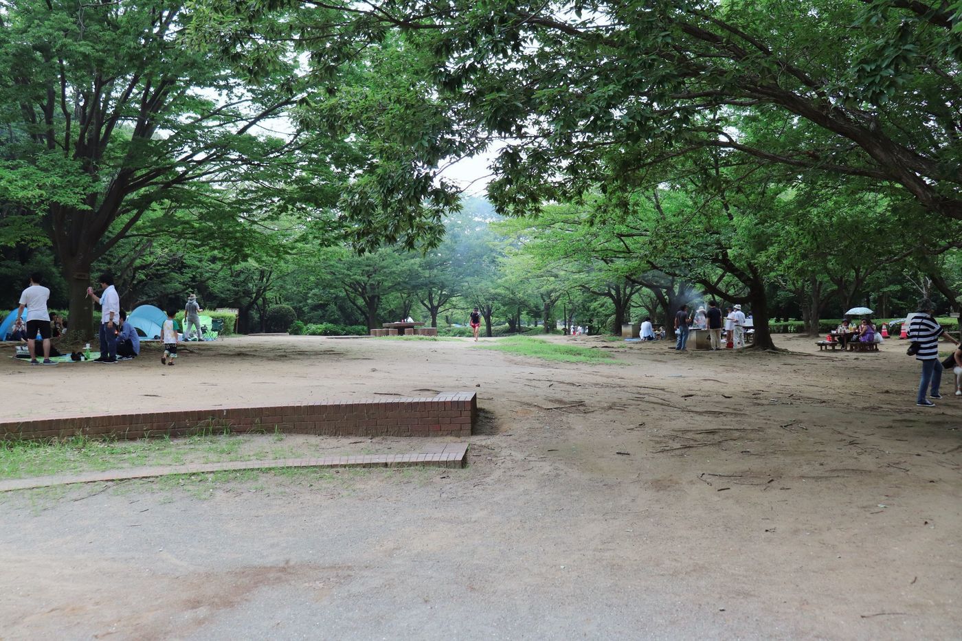 の画像