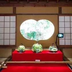 初秋の京都。京都竹の寺地蔵院のアートなモシュ印とコケ寺リウム