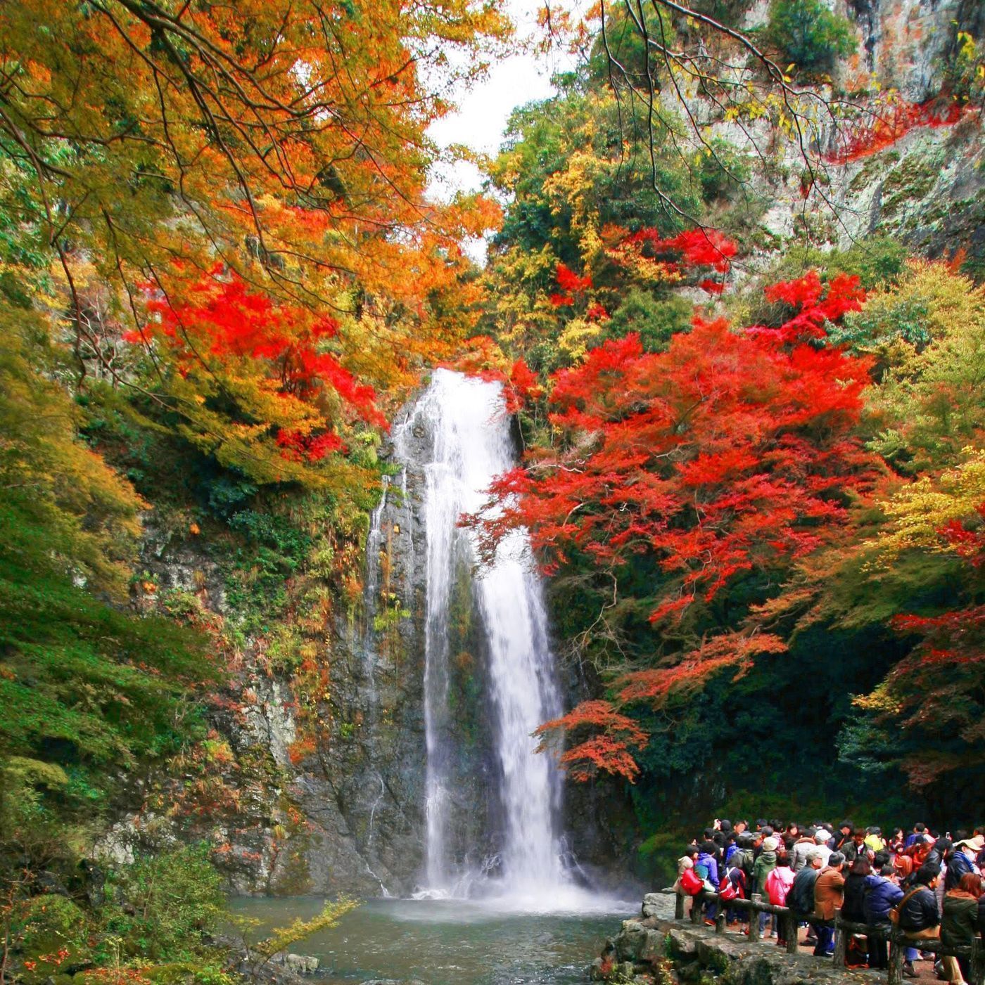 の画像