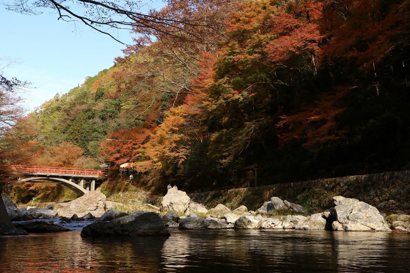 の画像