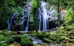 【2021年夏】京都観光の避暑地におすすめの滝スポット厳選♪