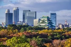 【2025年】名古屋の紅葉スポット9選！観光名所のライトアップ情報も紹介