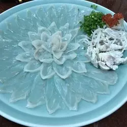 【築地】創業は明治時代？東京で新鮮なふぐを食べよう！